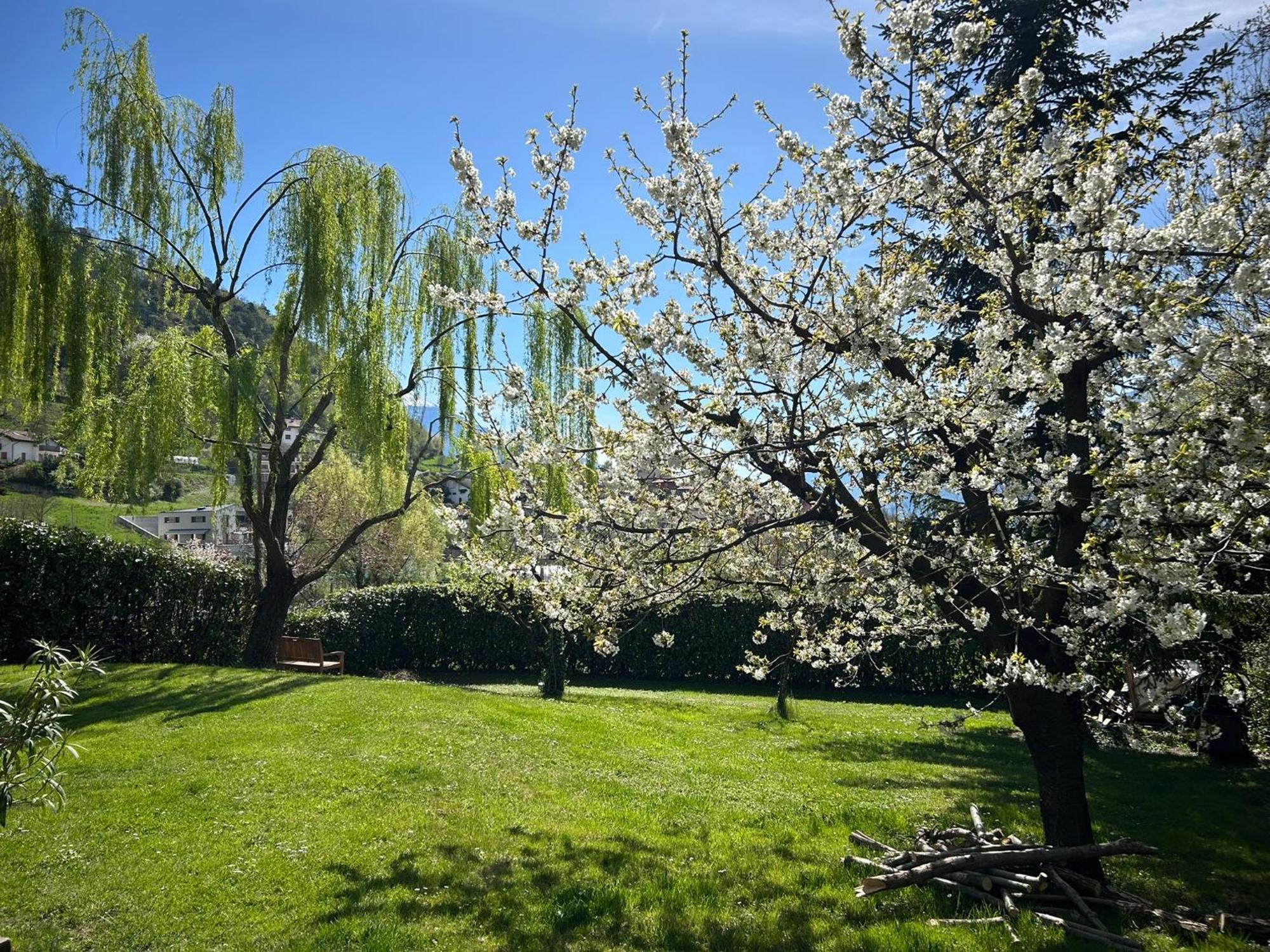 Holliday Charming Home Trento Exteriör bild